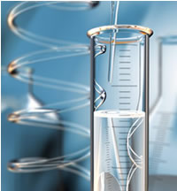 Investigación y desarrollo